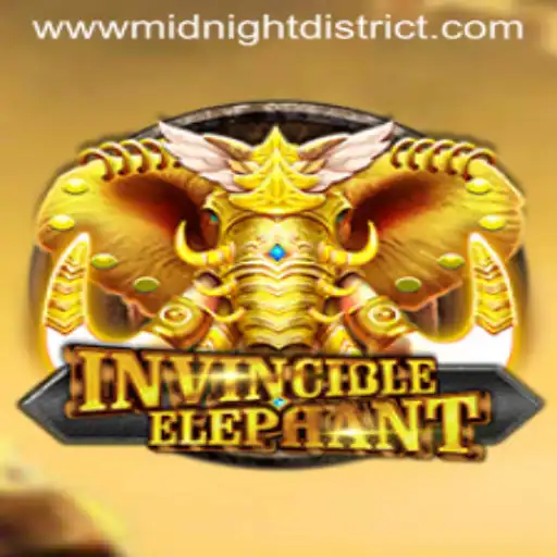 Unveiling InvincibleElephant: A Deep Dive into the Midnight District